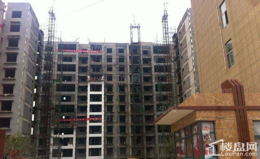 实景图