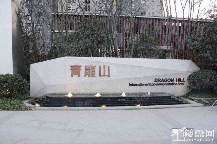 青龙山国际生态示范区实景图