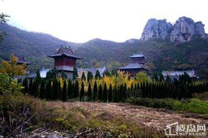 青龙山国际生态示范区实景图