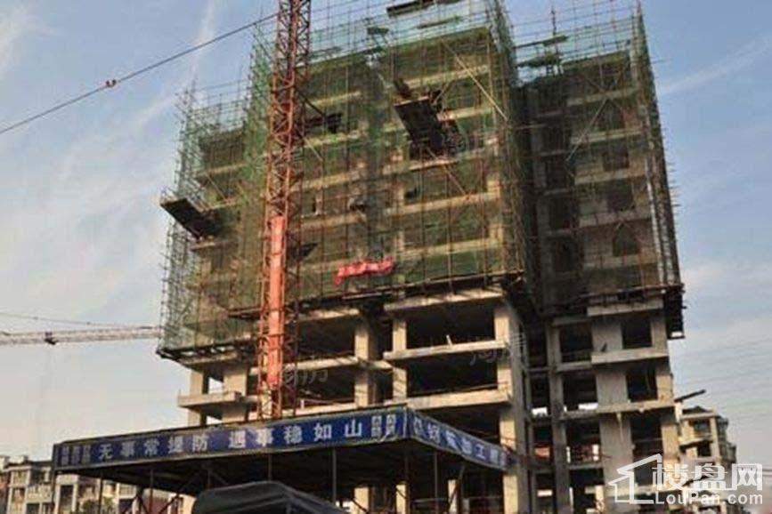 实景图
