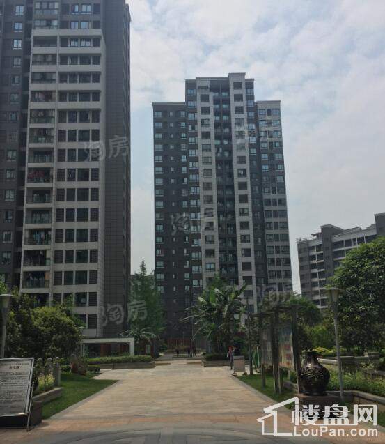 康利尔风花树实景图