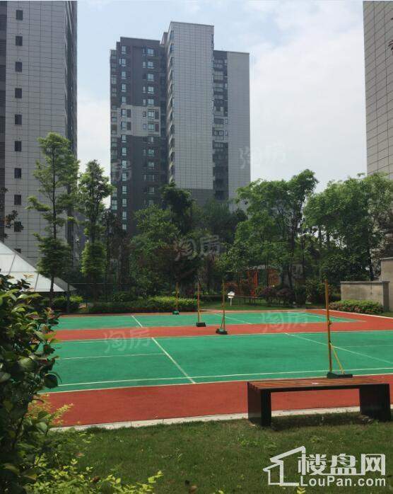 康利尔风花树实景图