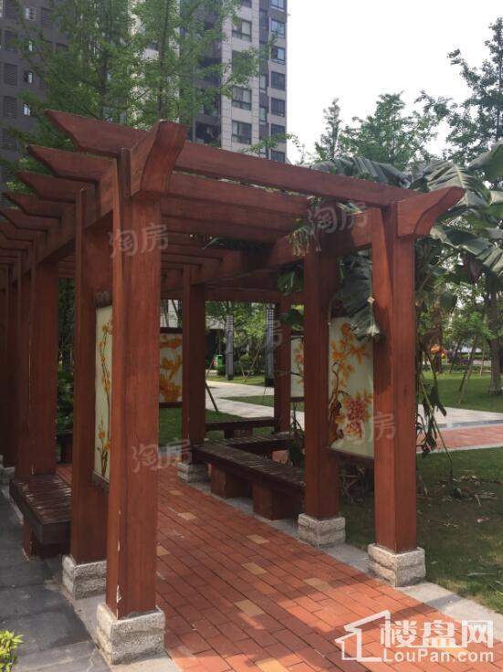康利尔风花树实景图