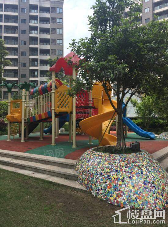 康利尔风花树实景图