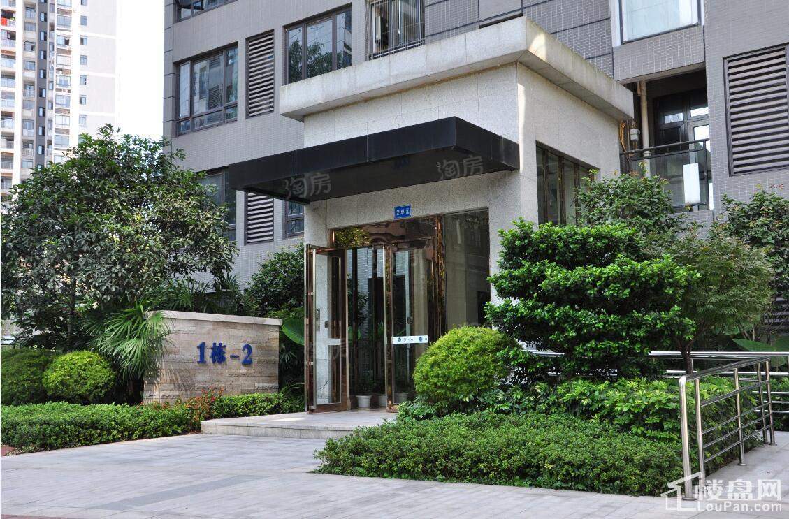 康利尔风花树实景图