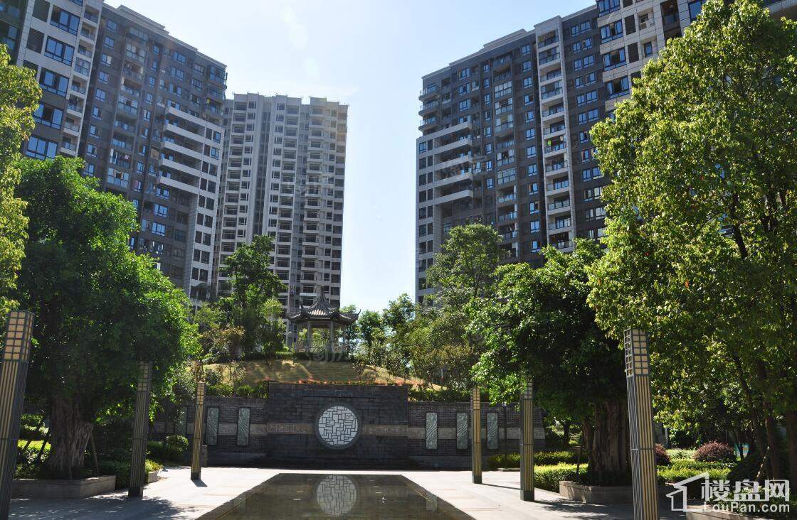 康利尔风花树实景图
