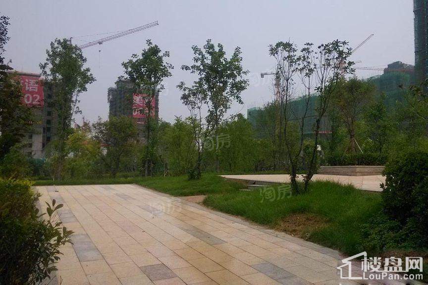实景图