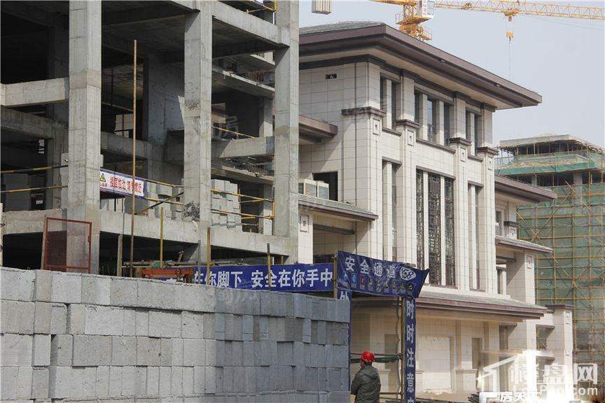 中森林语美墅实景图