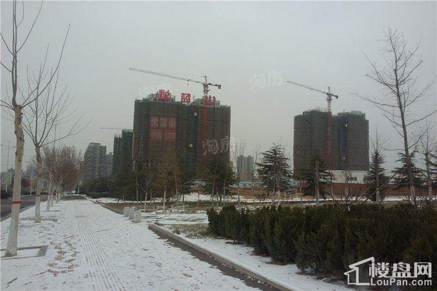实景图