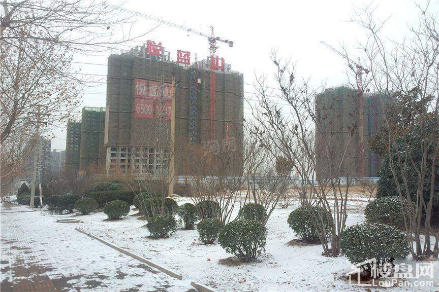 中森悦蓝山实景图
