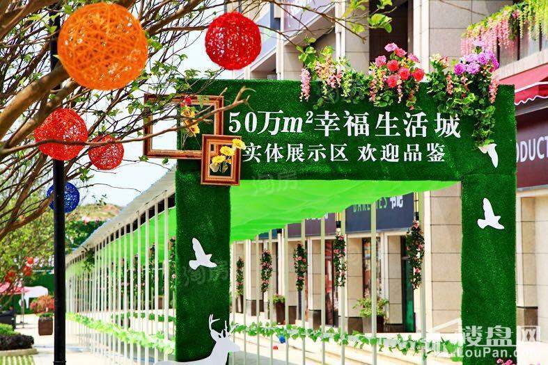 荣和千千树实景图