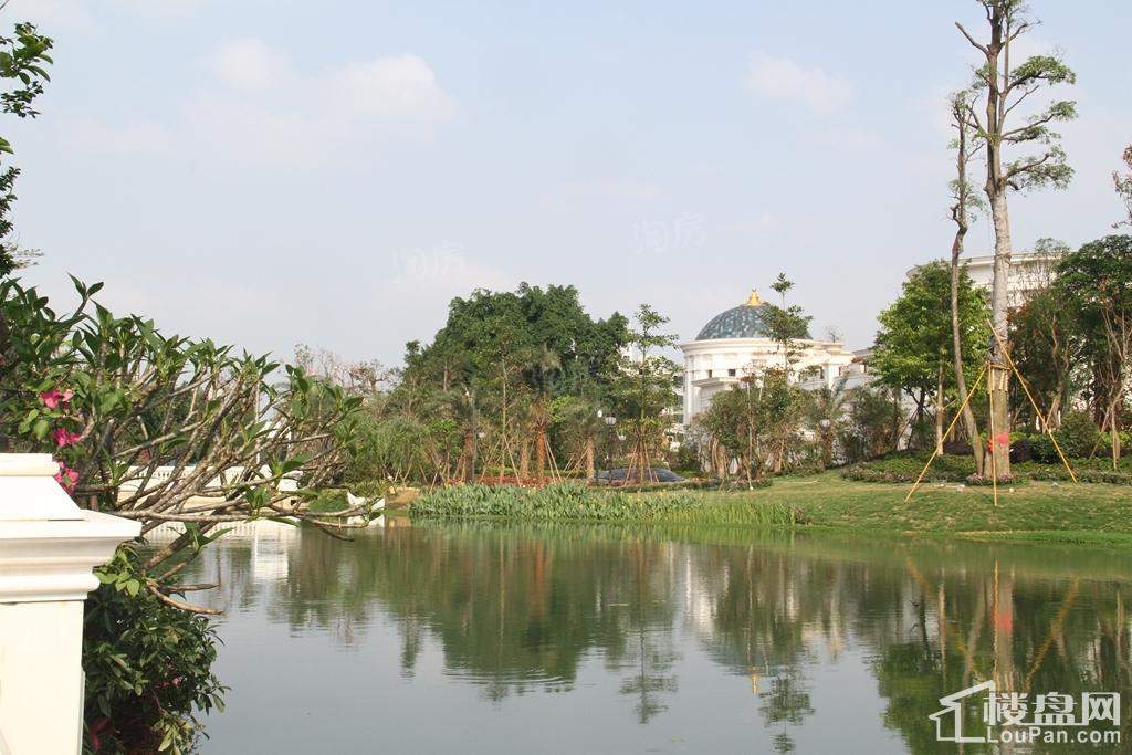 凯旋1号实景图
