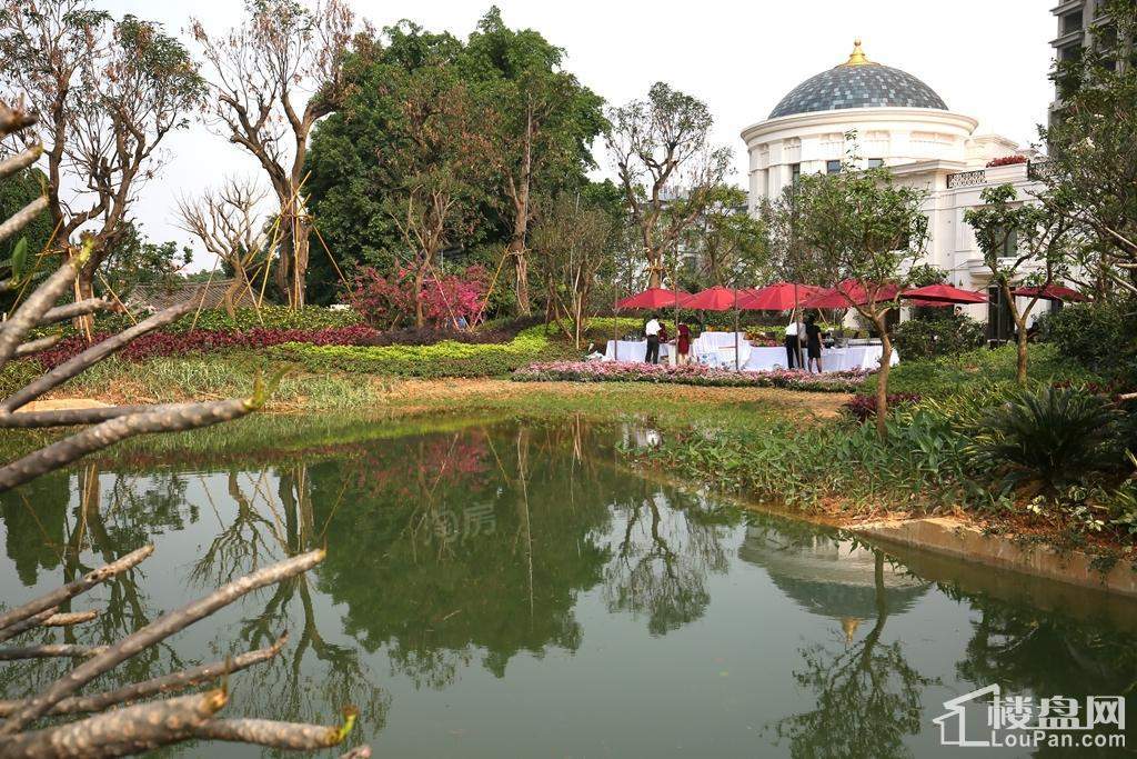 凯旋1号实景图