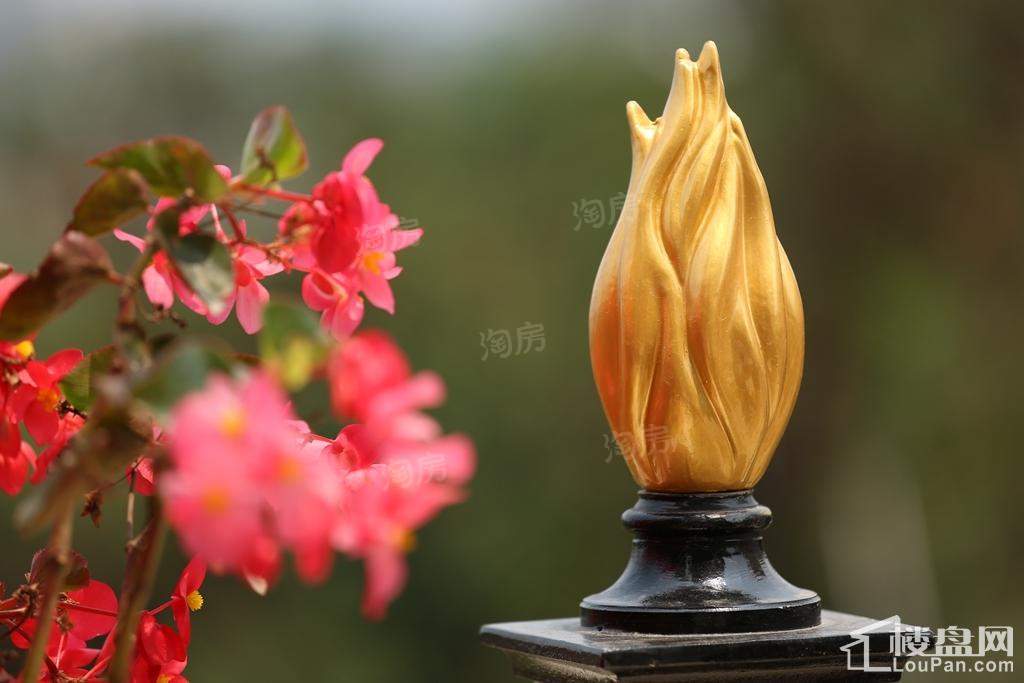 样板间