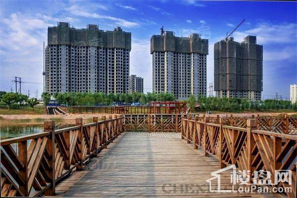 实景图