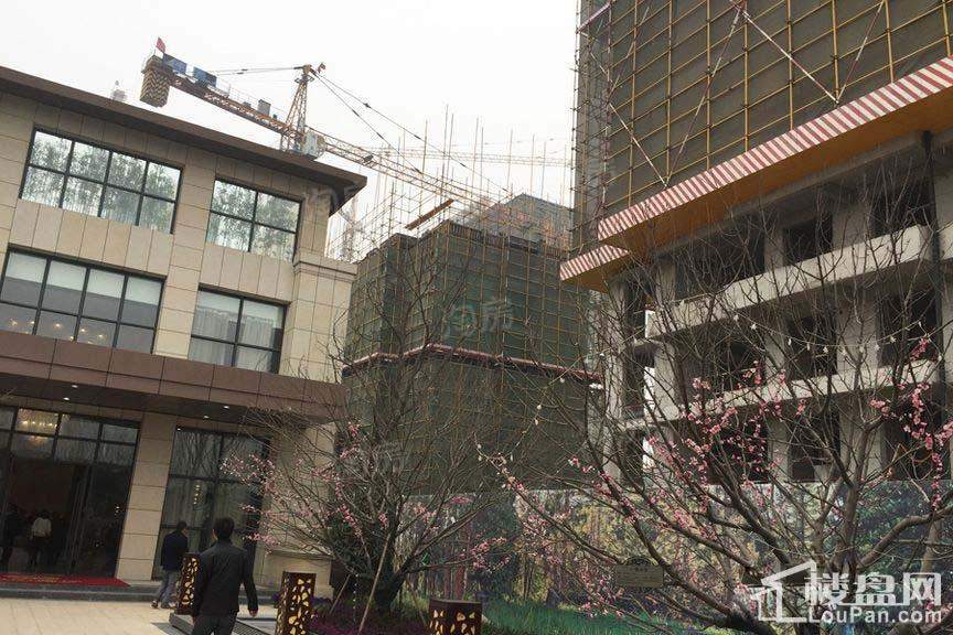 南熙福邸实景图
