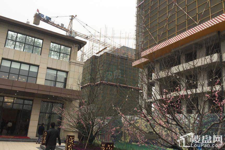南熙福邸实景图