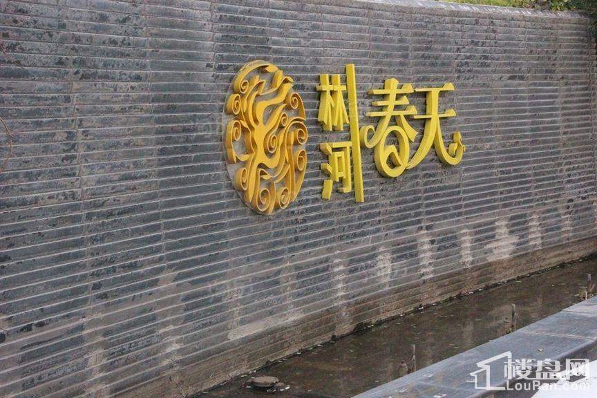 林河春天实景图