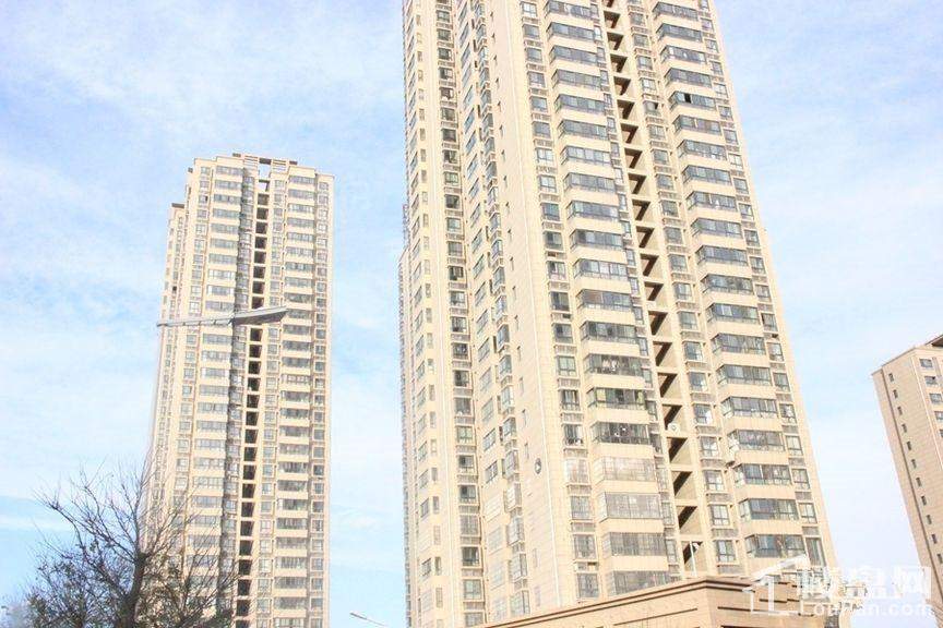 林河春天实景图