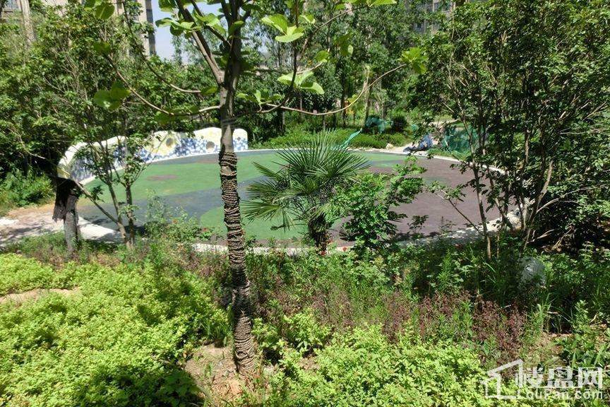 林河春天实景图