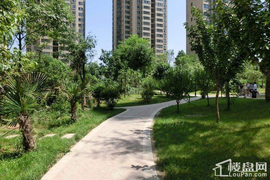 林河春天实景图