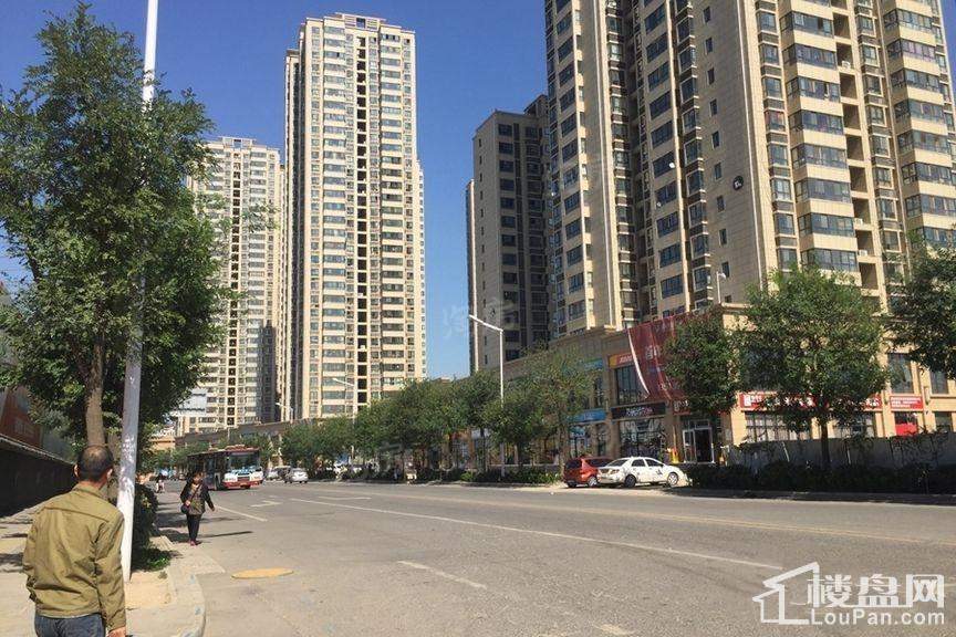 林河春天实景图