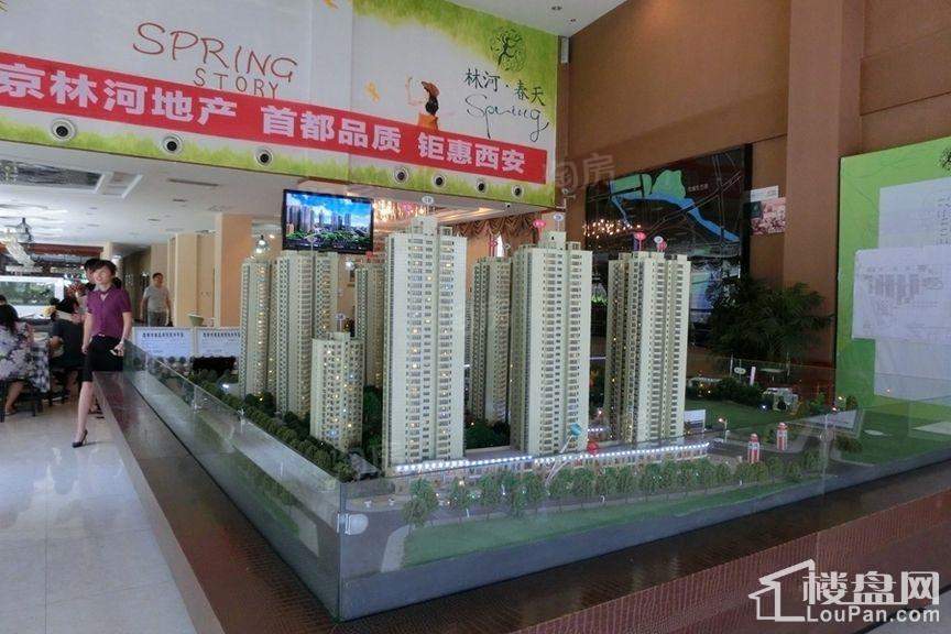 林河春天实景图