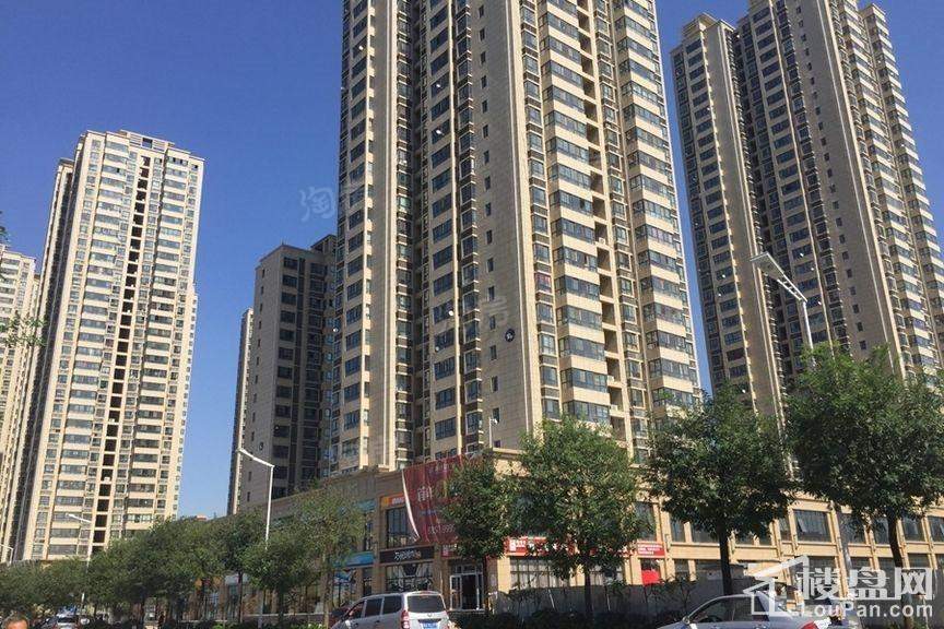 林河春天实景图