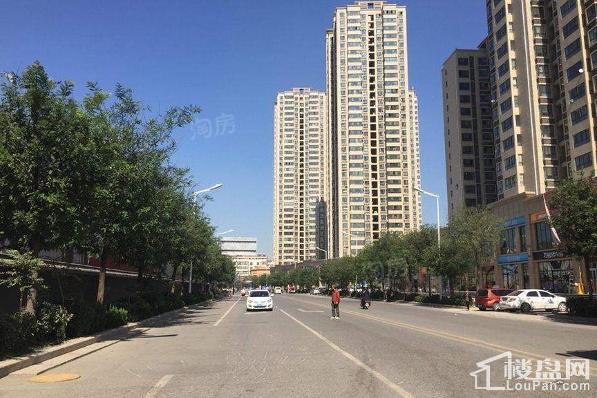 林河春天实景图