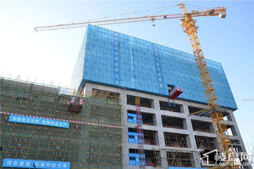 永和龙子湖中央广场实景图
