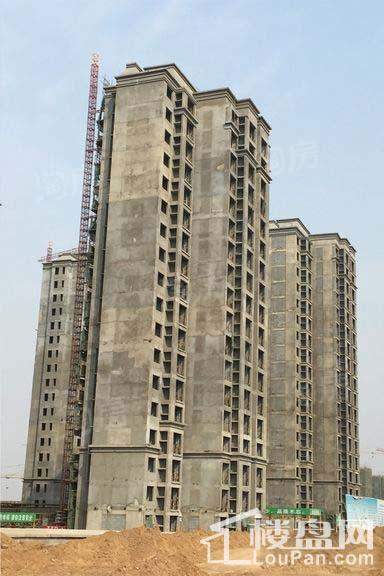 豫发大运城白鹭源实景图