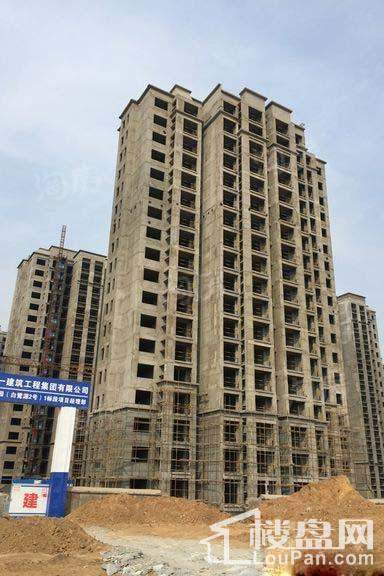 豫发大运城白鹭源实景图