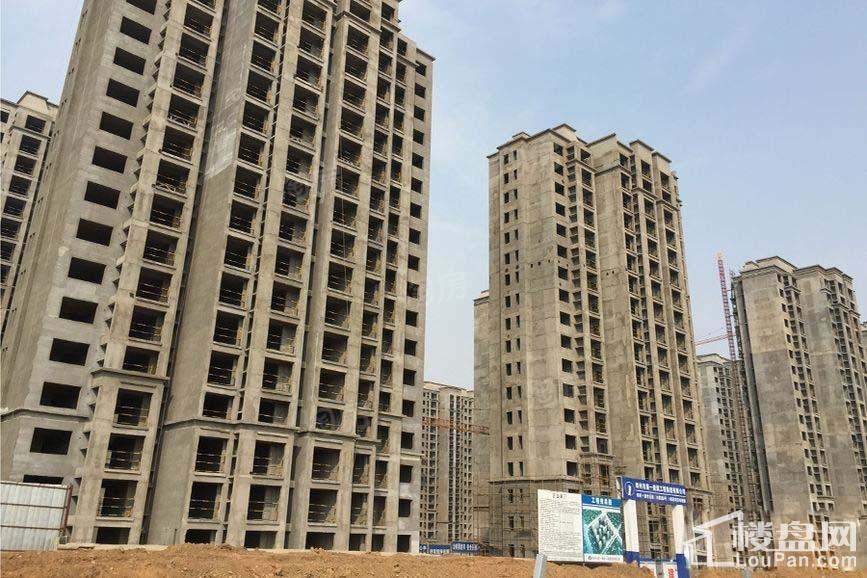 豫发大运城白鹭源实景图