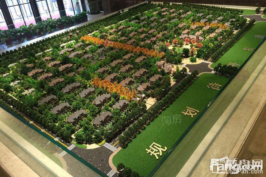 建业平原新城实景图
