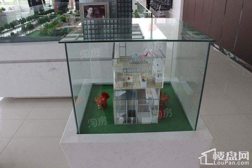 青春GALA实景图