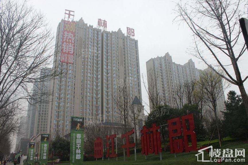 曲江千林郡实景图