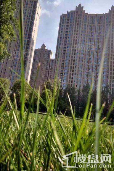 曲江千林郡实景图