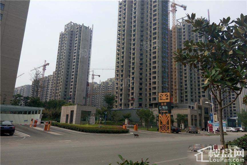 海德PARK实景图