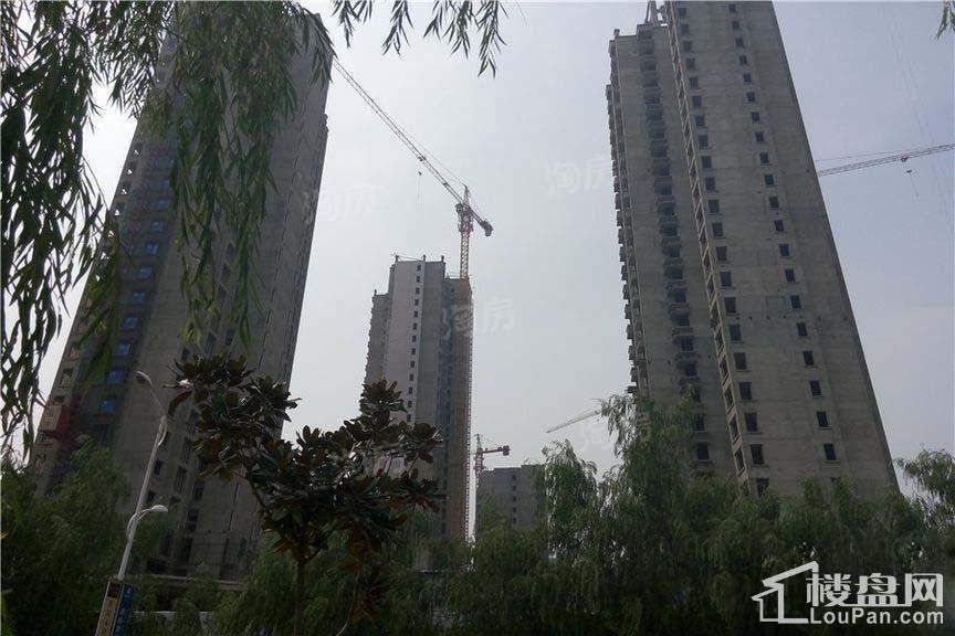 海德PARK实景图