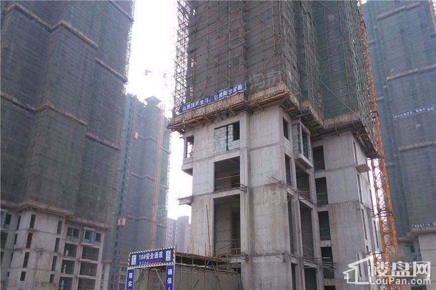 海德PARK实景图