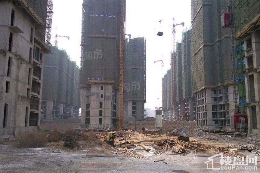 海德PARK实景图