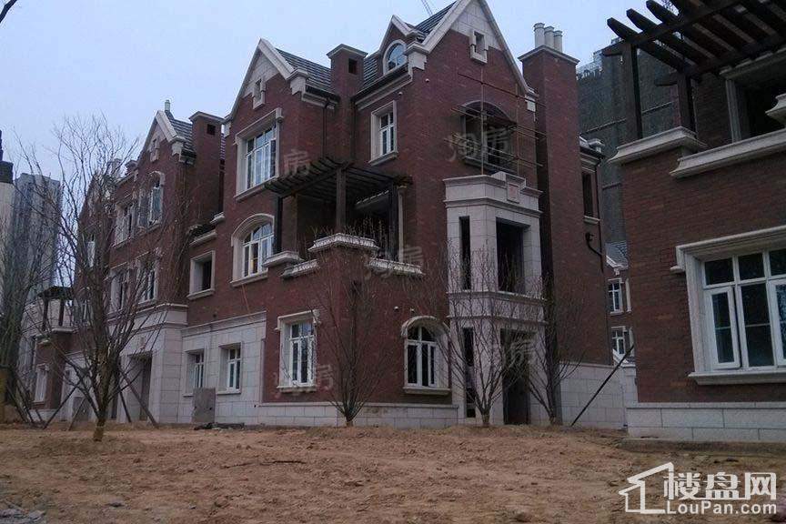 华启唐宁1號实景图