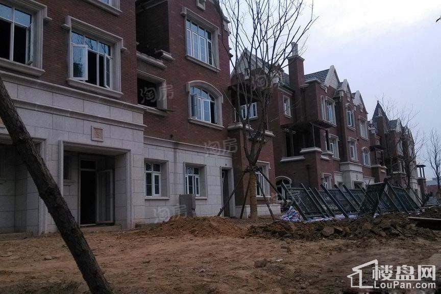 实景图