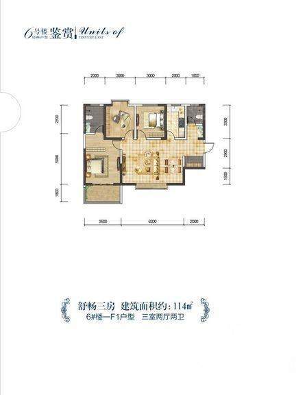 暂无数据