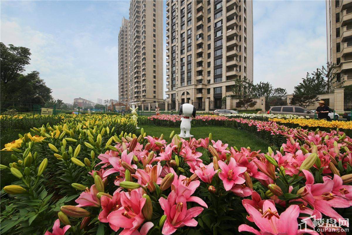 瀚悦府实景图