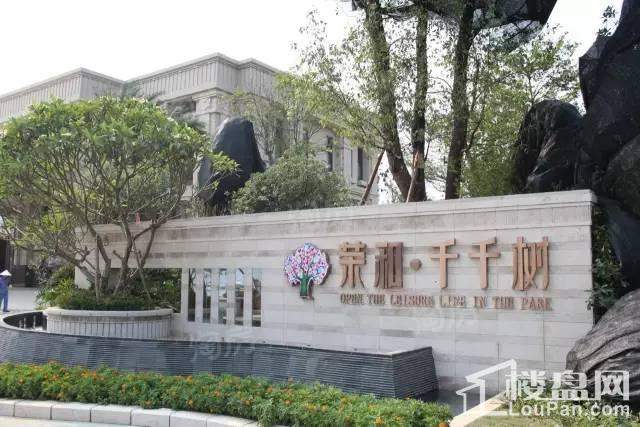 荣和千千树实景图