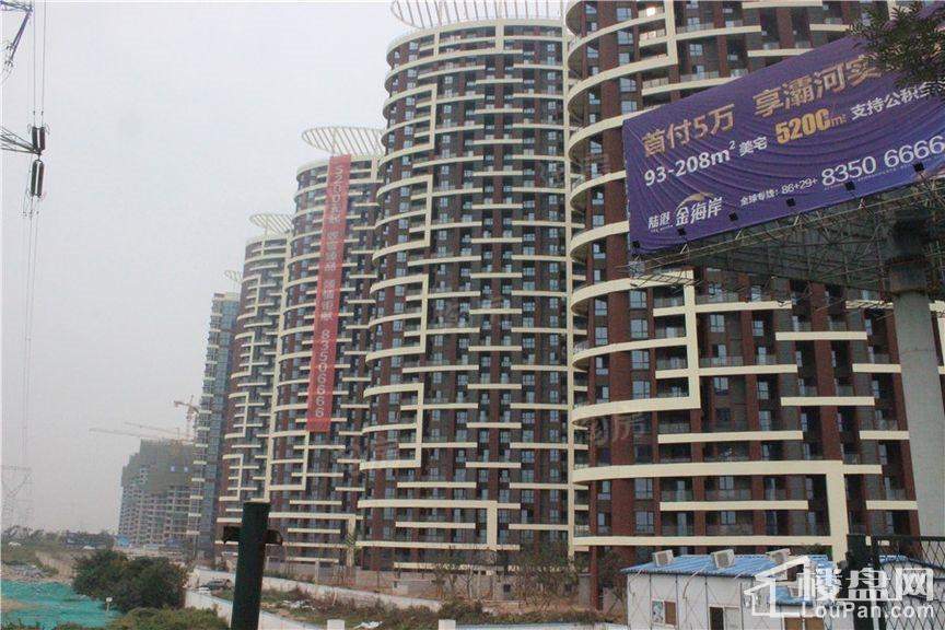 陆港·金海岸实景图