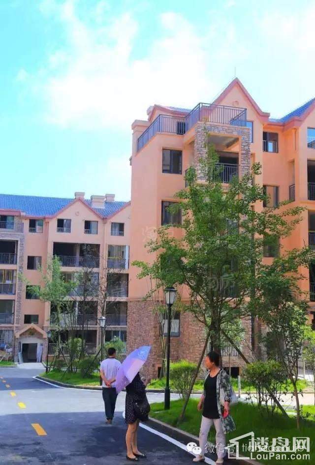 天岛湖效果图