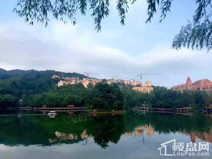 天岛湖实景图