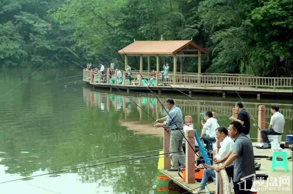 天岛湖实景图